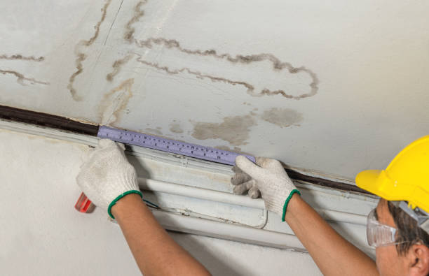 Reliable Ceiling Water Damage Repair contractor in Gowen, MI by Hirex Water Damage